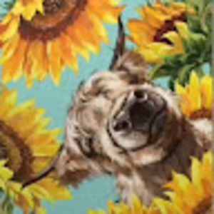 Meet your Posher, Maya